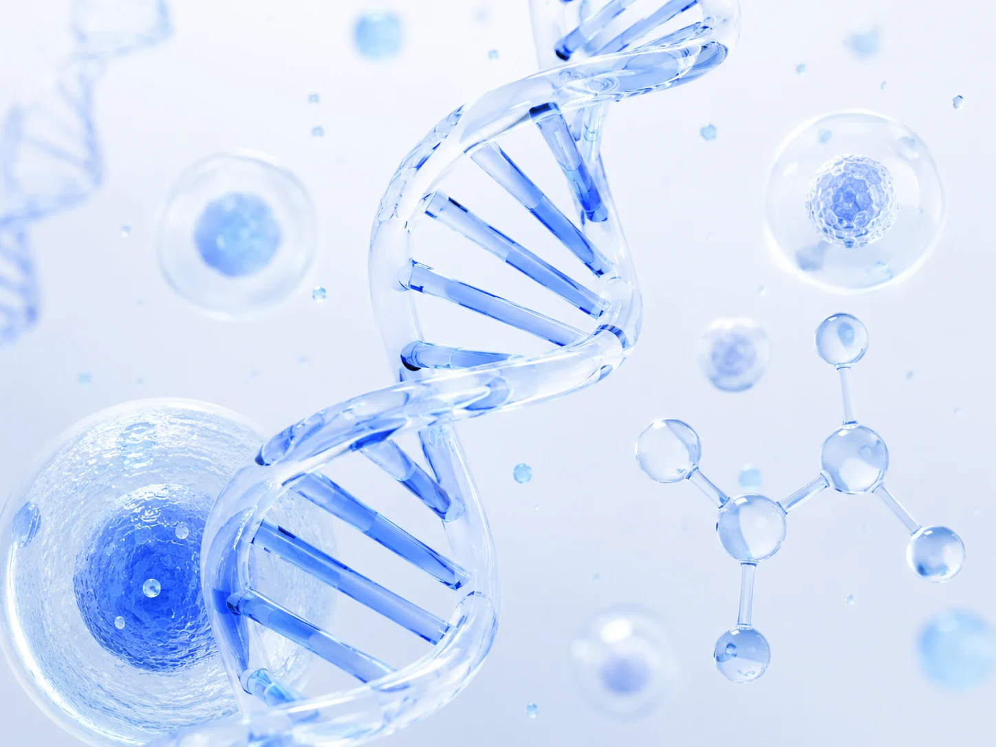 مارپیچ DNA در میان ساختارهای سلولی و مولکولی شفاف